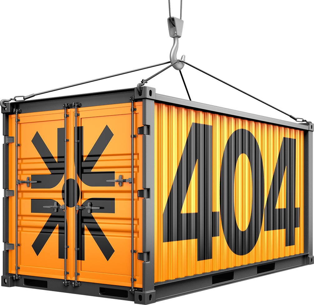 https://prova3.demo.servonet.it/wp-content/uploads/2025/04/image_01_error_page.png